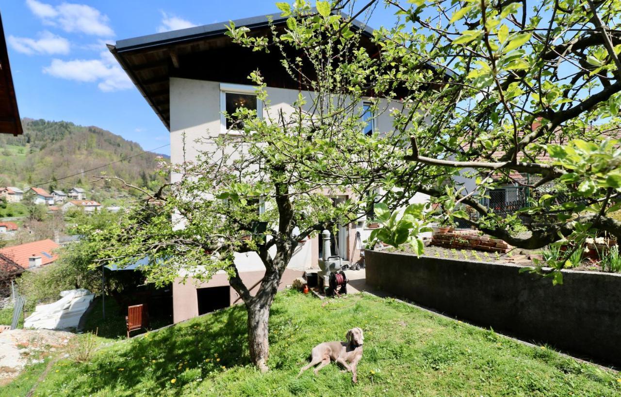 Zagorje ob SaviBergmannhaus别墅 外观 照片