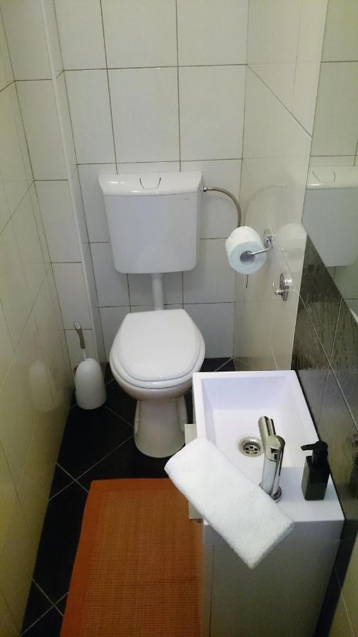Zagorje ob SaviBergmannhaus别墅 外观 照片